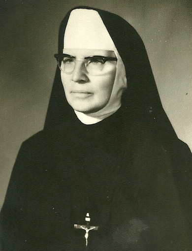 IR. FLAVIANA AMADIO