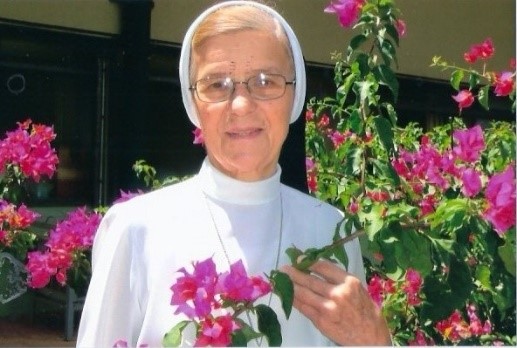 IR. MARIA LUIZA ROMÃO