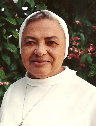 IR. MARIA JOSÉ NOGUEIRA