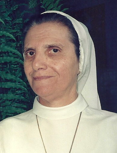 IR. AGNES DANI